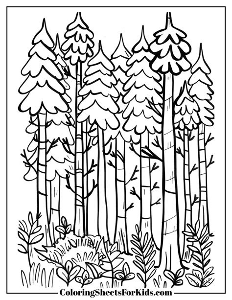 Forest Pictures to Color