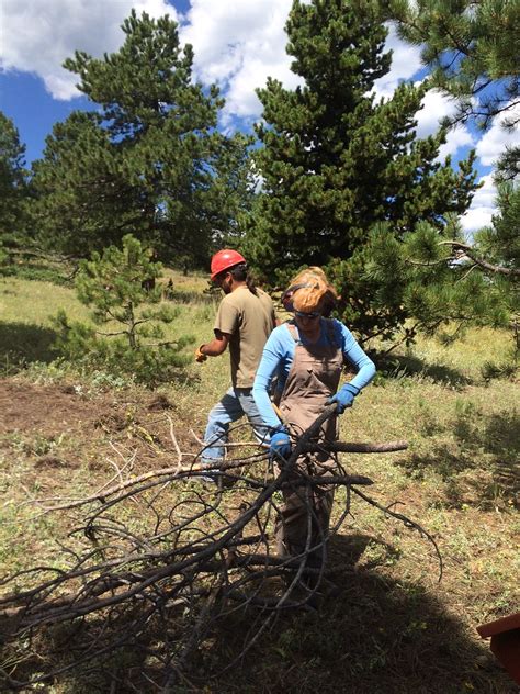 Forest Service Volunteer Jobs