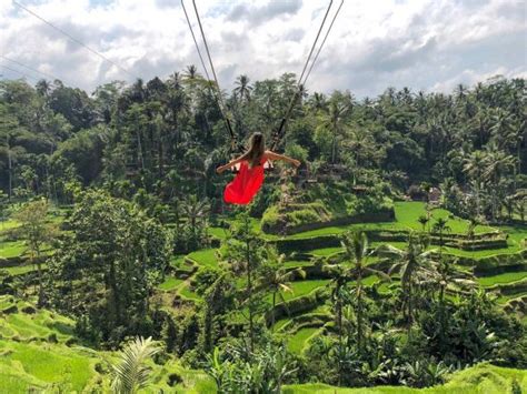 Forest Swing Bali