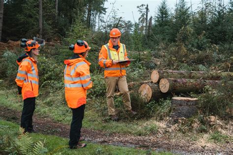 Forestry Jobs,9396