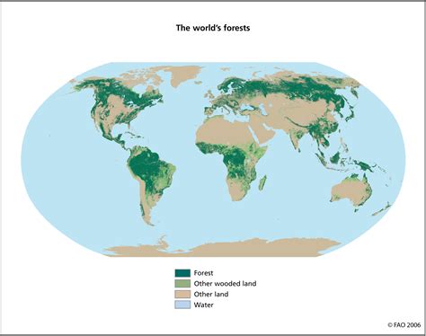 Forests Of The World Map