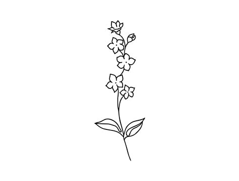 Forget Me Not Line Drawing