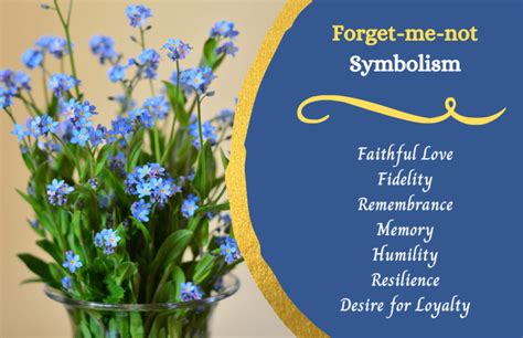 Forget-Me-Nots: Symbol of Remembrance