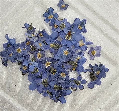 Forget-Me-Nots Tiny Blue Charms