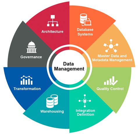 The Data Management Process Made Easy