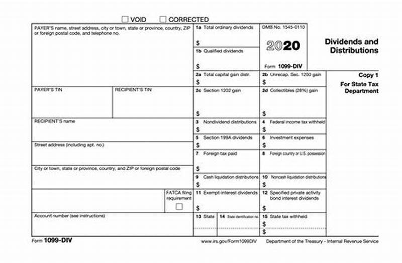 Form 1099-div Example