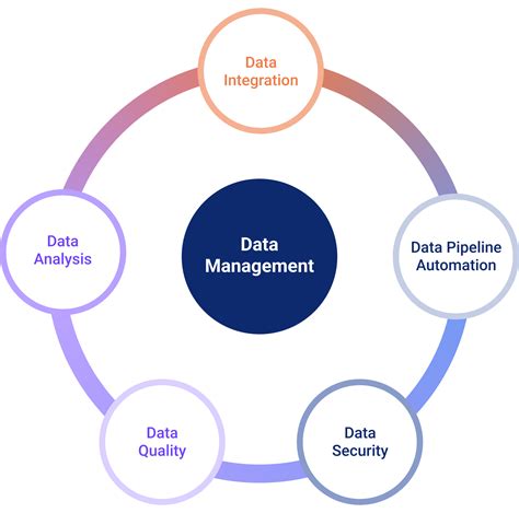 The Data Management Process Made Easy