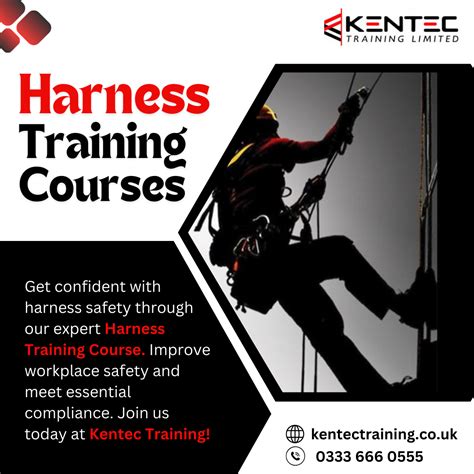 Formal Harness Training