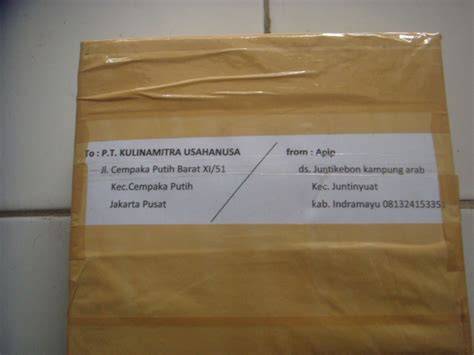 Format Pengiriman Jne