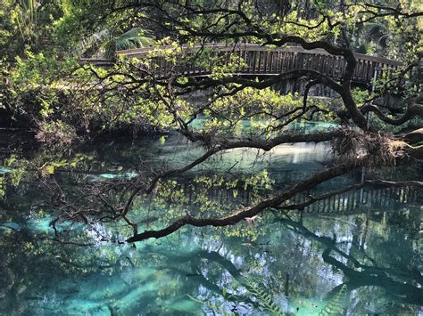 Fort McCoy Florida paisaje