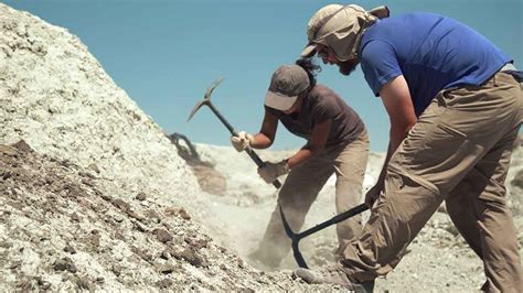 Fossil Hunting