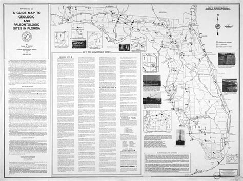 Fossil Hunting Locations in Florida