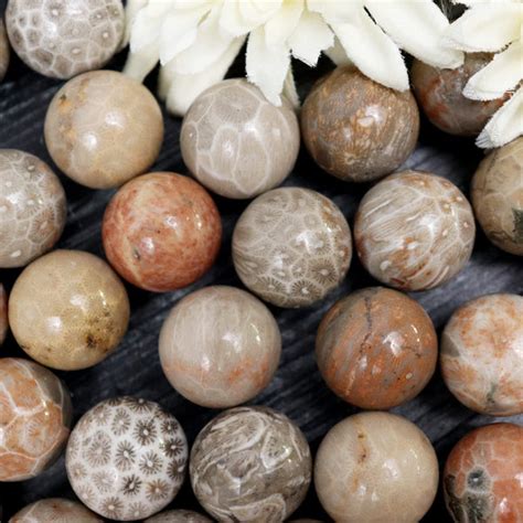 Focusing on Fossilized Coral: Uncovering the Healing Properties of a One-of-a-Kind Gemstone