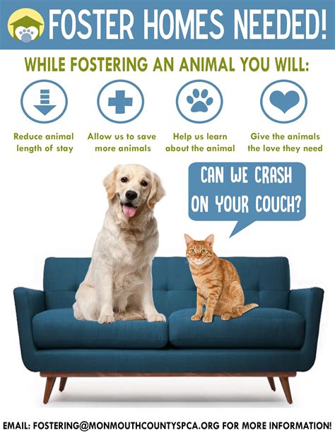 Fostering Animals in Need