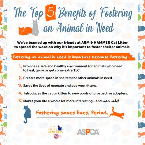 Fostering Animals in Need