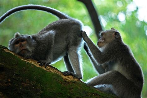 Foto Unik dan Menarik