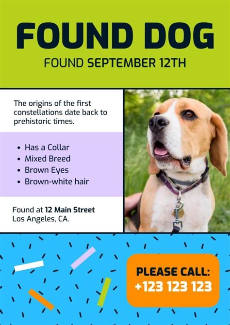 Found Dog Flyer Template