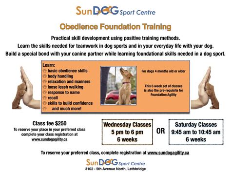 Foundation Obedience Classes
