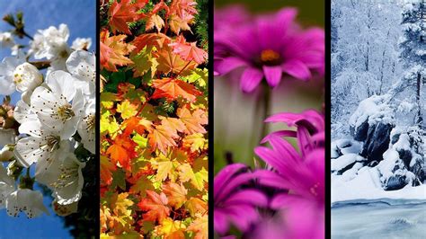 Transform Your Workspace With Four Seasons Desktop Themes
