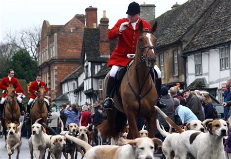 fox hunting dogs Google Search Raw material Pinterest Fox