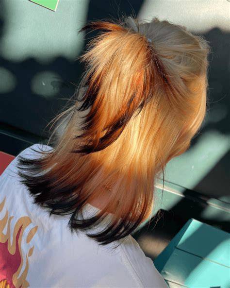Fox Tail Hairstyle