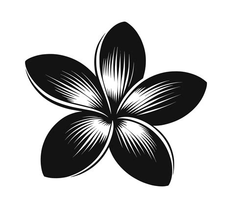 Discover the Exquisite Beauty of Frangipani with our Exquisite SVG Collection!