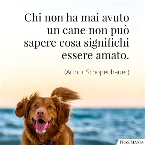 Frasi Sul Cane