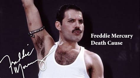 Pin by Jane Desilet on Freddie Mercury and Queen Queen freddie