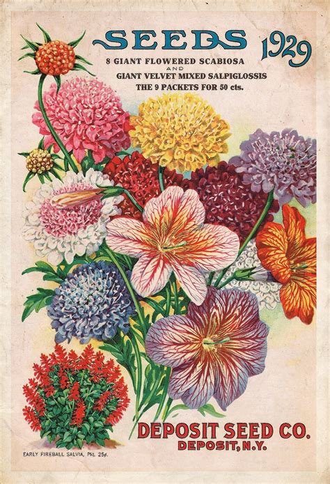 70+ Free Seed and Plant Catalogs Seed catalogs, Plant catalogs, Plants