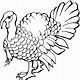 Free Printable Coloring Pages Turkey