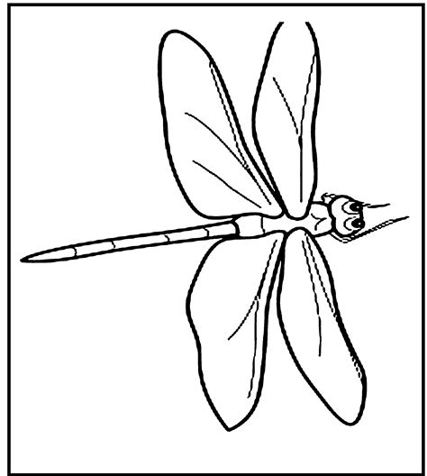 Free Printable Dragonfly Images