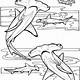 Free Printable Hammerhead Shark Coloring Pages