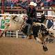 Free Rodeo Images