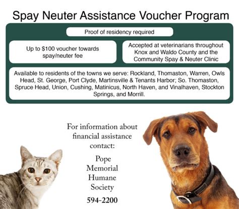 Free Spay And Neuter Vouchers For Cats 2023: Everything You Need To Know