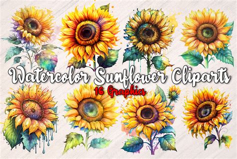 Download Free 12 Sunflower Watercolor clipart bundle Files DXF Files