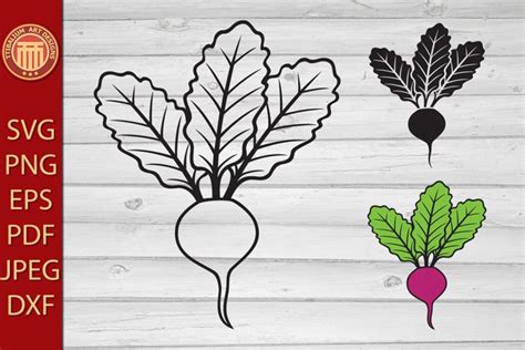 Download Free 17 vegetable elements Commercial Use DXF Files