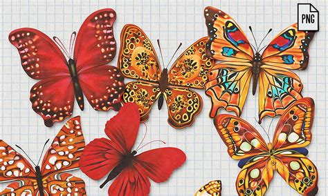 Download Free 353 Butterflies Commercial Use