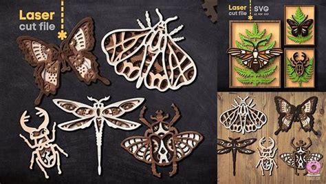 Download Free 3D Layered Insects SVG Bundle For Cricut