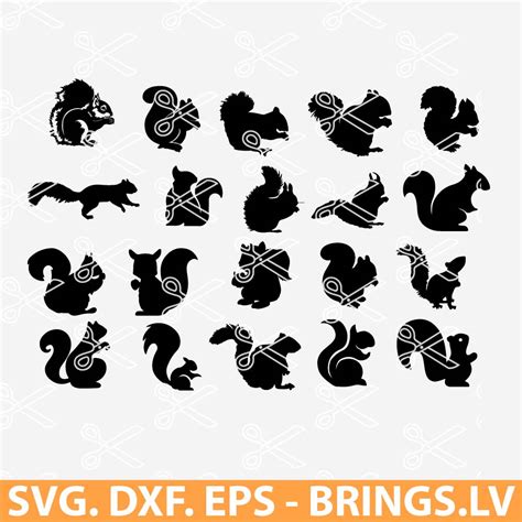 Download Free 3D Squirrel SVG Files DXF Files