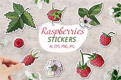 Download Free 48 Colorful Raspberry Labels Clipart Fruit Raspberries LabelsStickers Cricut SVG DXF Files