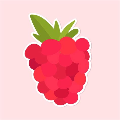 Download Free 48 Colorful Raspberry Labels Clipart Fruit Raspberries LabelsStickers Silhouette DXF Files