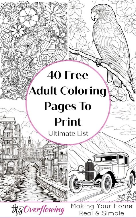 Free Adult Colouring Books
