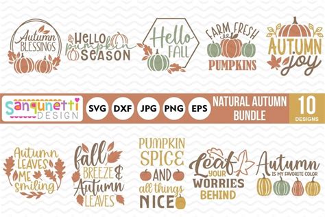 Download Free Amazingly Autumn SVG Bundle Easy Edite