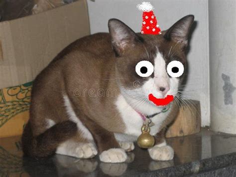 Download Free America Home Easy Edite