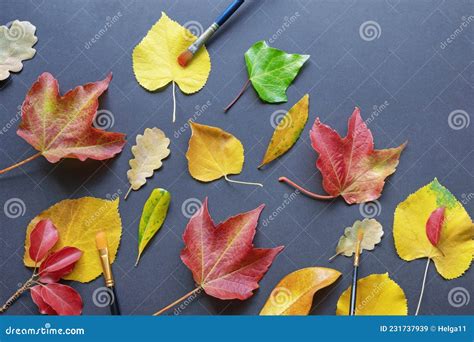 Download Free Autumn Concepts Files