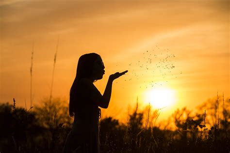 Download Free Autumn Concepts For Silhouette