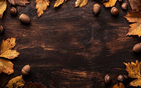 Download Free Autumn Concepts Images