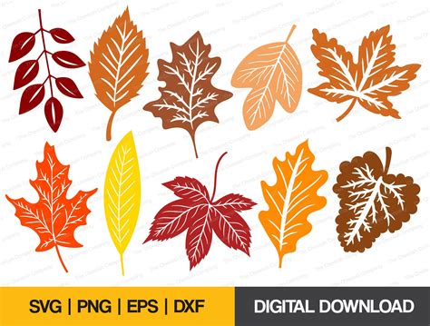 Download Free Autumn Pack Silhouette DXF Files