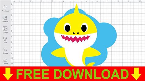 Download Free Baby Shark Cut Images