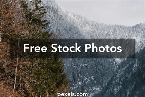 Download Free Be Still Cut Images